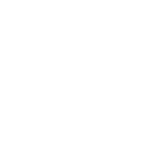 2019 PSC Logo